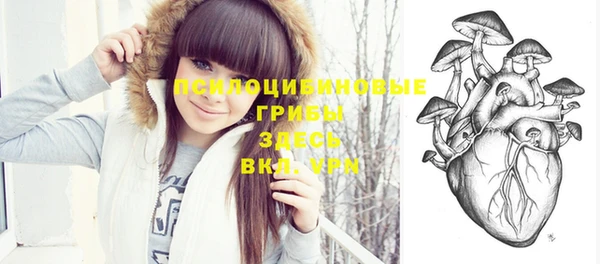 дмт Дмитриев