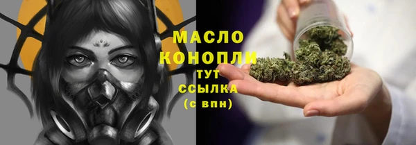 дмт Дмитриев