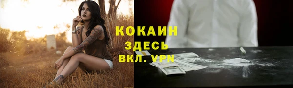 дмт Дмитриев