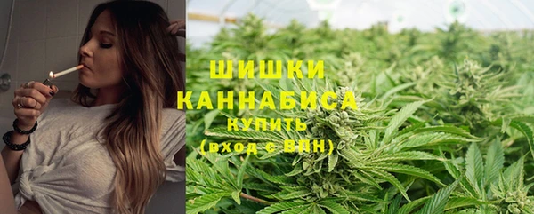 дмт Дмитриев