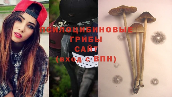 метамфетамин Дмитров